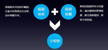 以效率致胜 产品小组制在营销管理中的创新实践