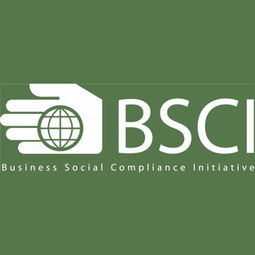 深圳九域企业管理 一站式EICC验厂咨询辅导，助力企业合规与卓越